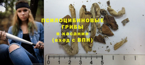 ГАЛЛЮЦИНОГЕННЫЕ ГРИБЫ Белокуриха