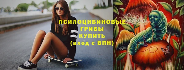 ГАЛЛЮЦИНОГЕННЫЕ ГРИБЫ Белокуриха